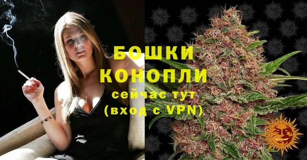 соль ск Сосновый Бор