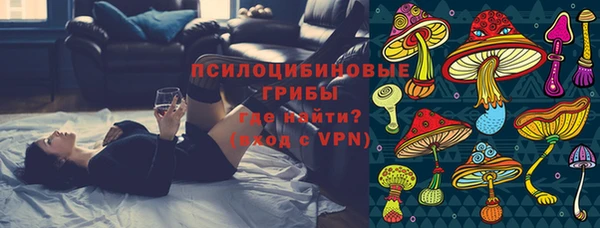 mdma Снежногорск